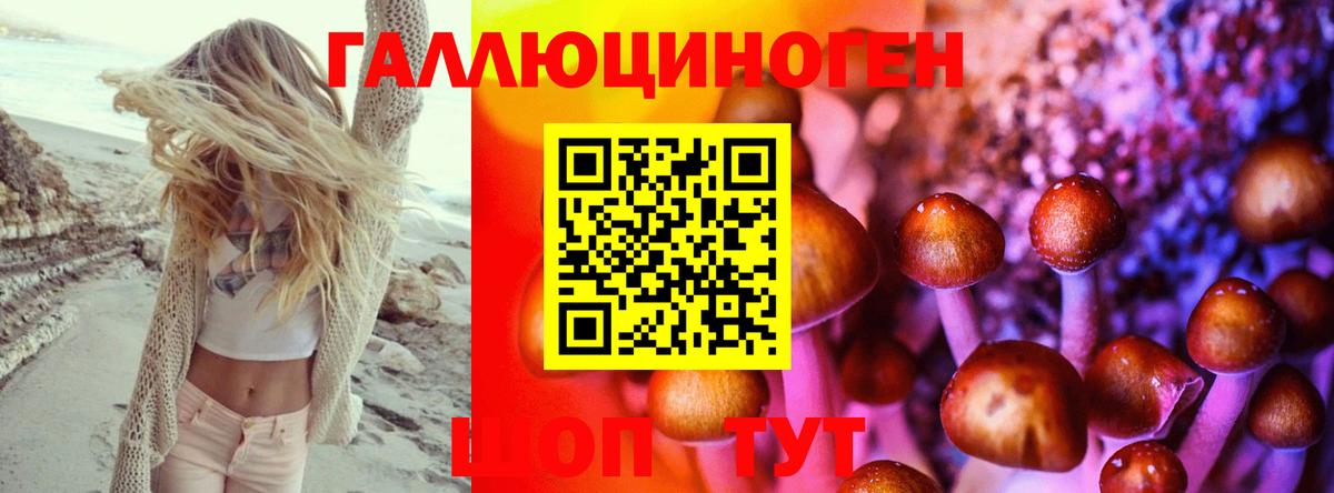 Псилоцибиновые грибы Psilocybine cubensis Нефтекамск